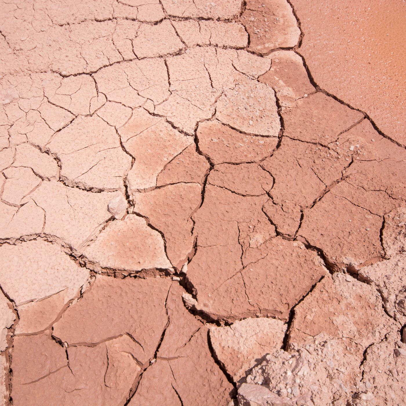Mistakes you could be making that is causing dehydrated skin and premature aging (Mistakes Causing Dehydrated Skin)